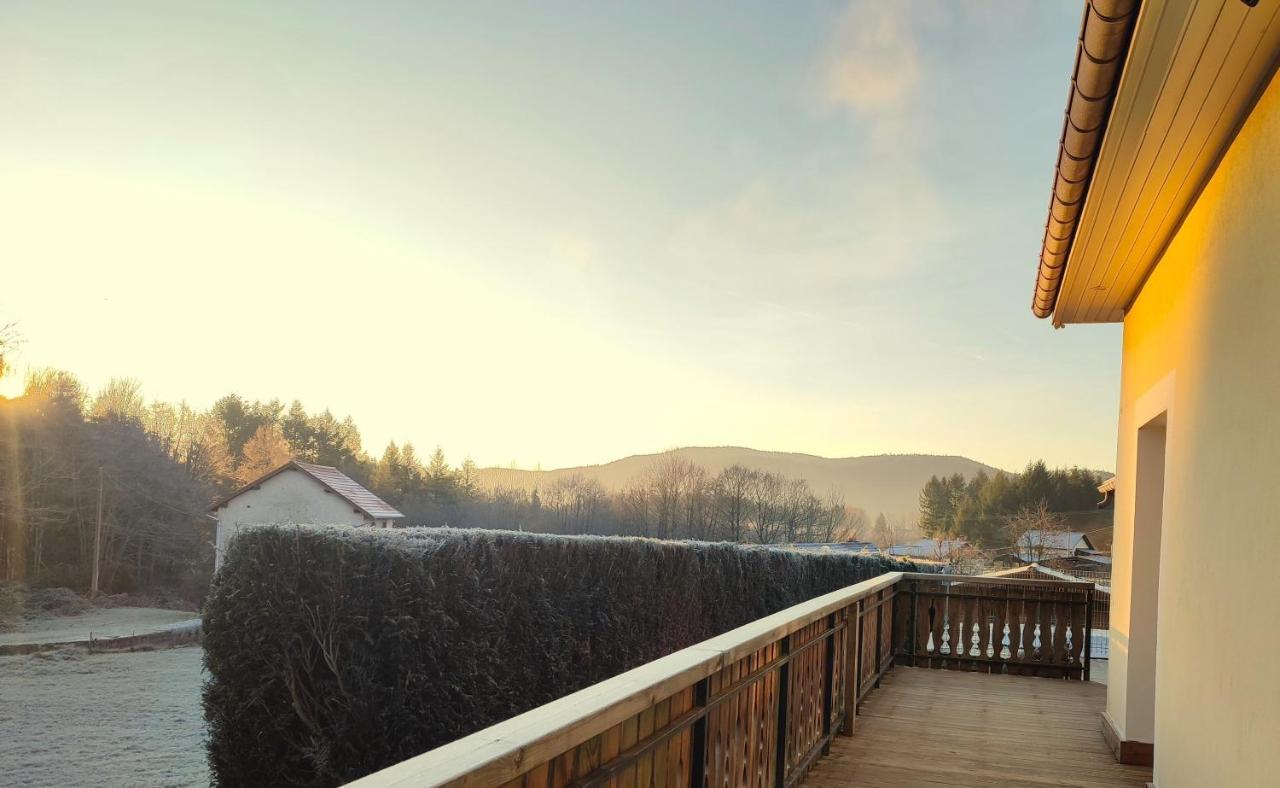L'Ecrin De Xattys - Gite De Standing-Spa-Terrain De Petanque-Piscine-Switch-Baby-Foot Au Coeur Du Massif Vosgien Cleurie Luaran gambar
